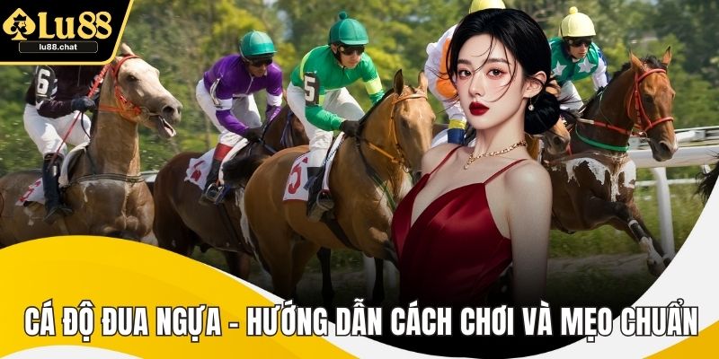 Cá Độ Đua Ngựa – Hướng Dẫn Cách Chơi Và Mẹo Chuẩn Xác Cá Độ Đua Ngựa – Hướng Dẫn Cách Chơi Và Mẹo Chuẩn Xác