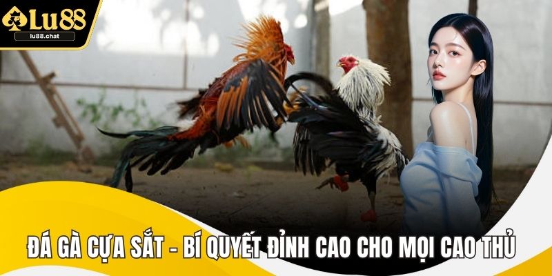 Đá Gà Cựa Sắt – Bí Quyết Đỉnh Cao Cho Mọi Cao Thủ Đá Gà Cựa Sắt – Bí Quyết Đỉnh Cao Cho Mọi Cao Thủ