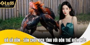 Đá Gà Đòn – Sân Chơi Kịch Tính Với Đòn Thế Hiểm Hóc