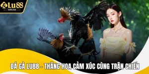 Đá Gà LU88 – Thăng Hoa Cảm Xúc Cùng Trận Chiến Đỉnh Cao