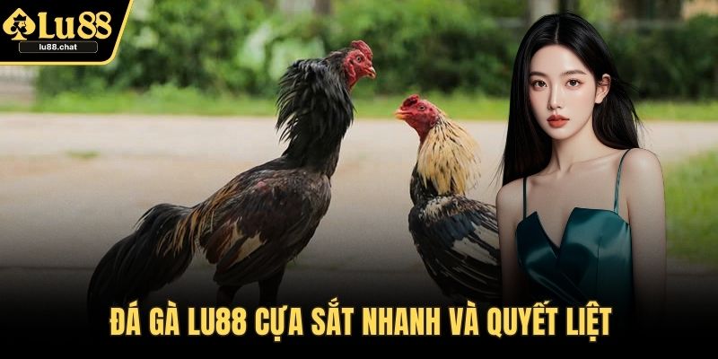 Đá Gà LU88 – Thăng Hoa Cảm Xúc Cùng Trận Chiến Đỉnh Cao Đá gà LU88 cựa sắt nhanh và quyết liệt