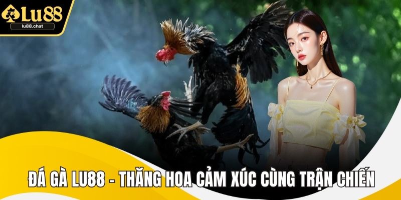 Đá Gà LU88 – Thăng Hoa Cảm Xúc Cùng Trận Chiến Đỉnh Cao Đá Gà LU88 – Thăng Hoa Cảm Xúc Cùng Trận Chiến Đỉnh Cao