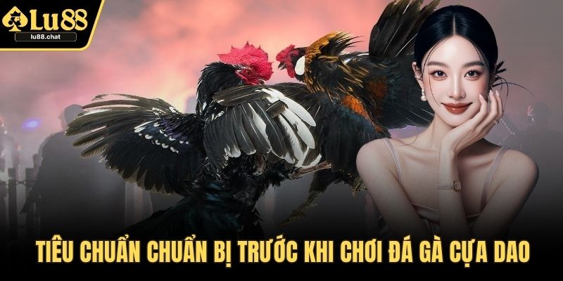 Đá Gà Cựa Dao – Cuộc Chiến Tốc Độ Và Sức Mạnh Mãn Nhãn Tiêu chuẩn chuẩn bị trước khi chơi đá gà cựa dao